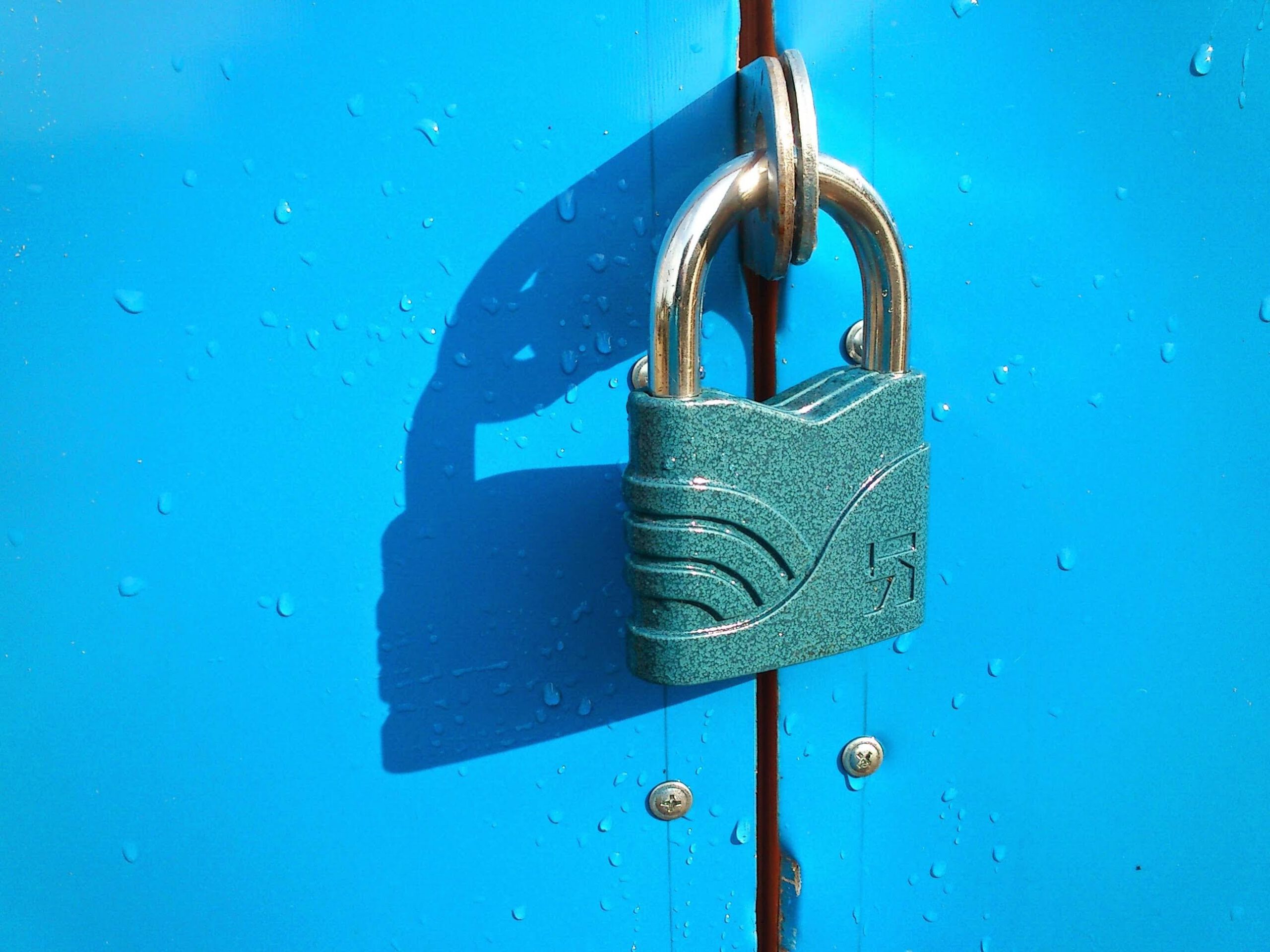maxim-zhgulev-5tmItJfHkIc-unsplash